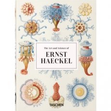 Ernst Haeckel - 40 Ernst Haeckel - 40