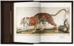 Walton’s World The beautifully savage beasts and birds of Walton Ford, Collectors Edition